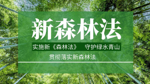 中華人民共和國森林法（2009修正）(中英文對照版)